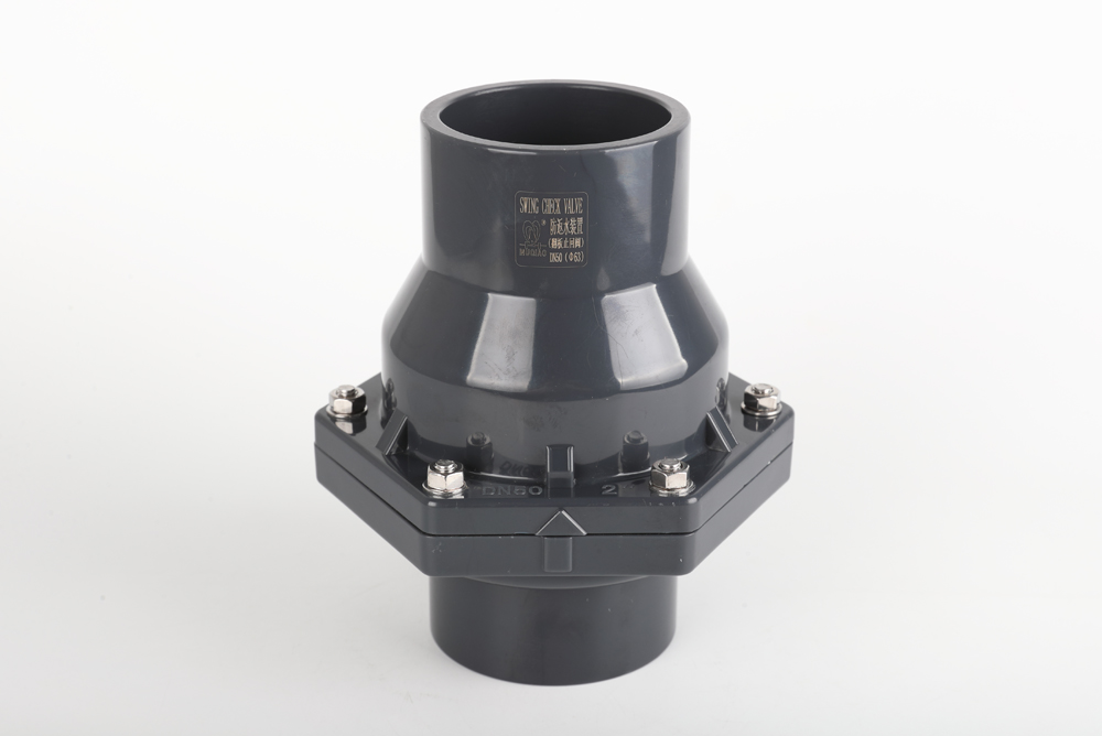 泰和翻板式止回阀